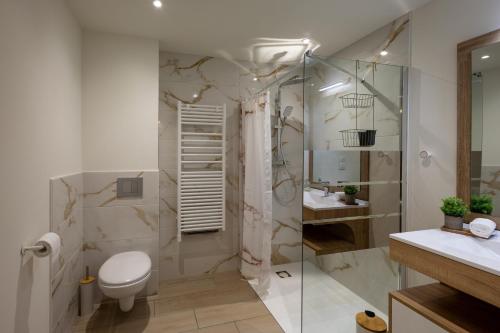 une salle de bain avec une douche, des toilettes et un lavabo dans l'établissement La Clé des Champs - Terrasse - Clim, à Châtel-Guyon