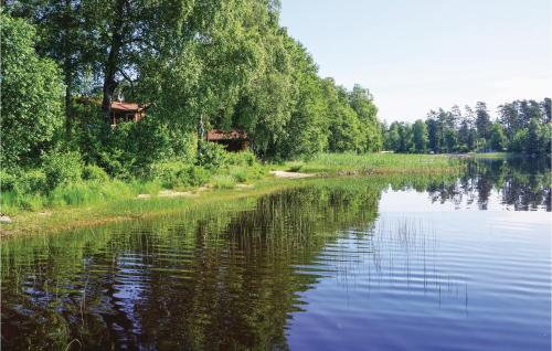 a view of a lake with trees on the shore at 3 Bedroom Lovely Home In Gällstad in Holmared