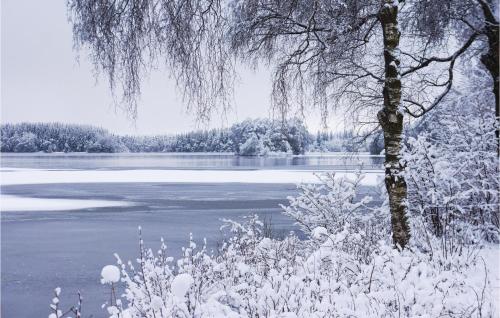 a frozen lake with a tree and snow covered branches at 3 Bedroom Lovely Home In Gällstad in Holmared