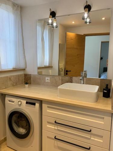une salle de bain avec un lavabo et une machine à laver dans l'établissement Pantouflard - Maison entière, à Toucy