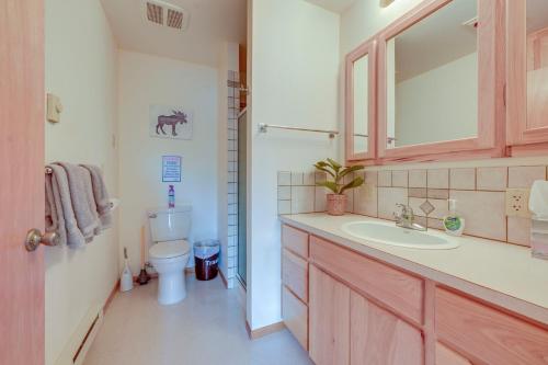 a bathroom with a sink and a toilet at On-Site Kenai River Fishing Soldotna Apartment! in Soldotna
