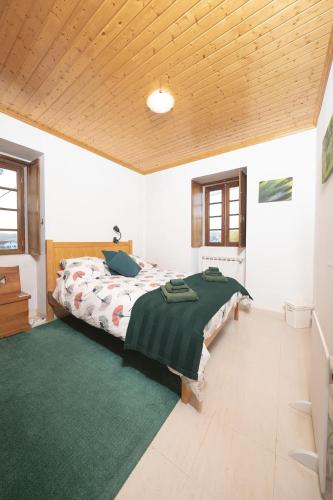 a bedroom with a large bed and a green rug at Yellow House - Casa Amarela in Oliveira do Hospital