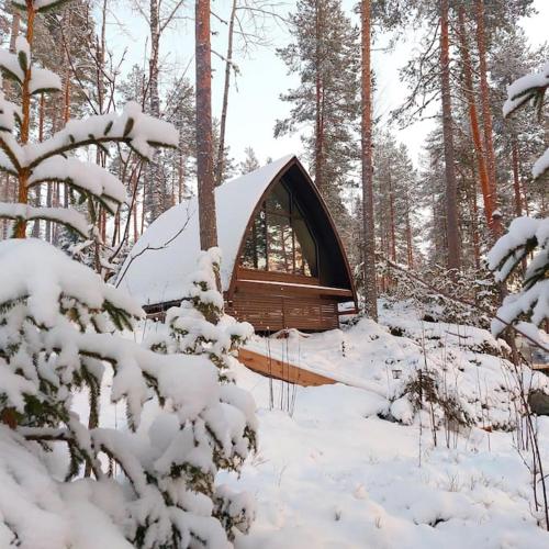 Lumous Forest Hut, Luontovire semasa musim sejuk