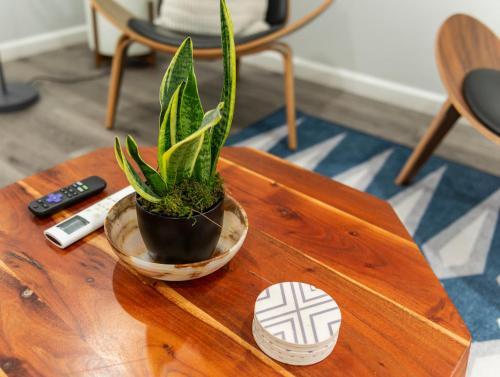 a plant in a pot on a wooden table at 50 M to Sand LGB 2 King Suites in Long Beach