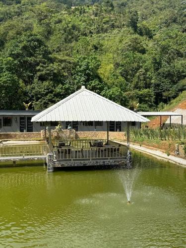 飯店附近的自然景觀