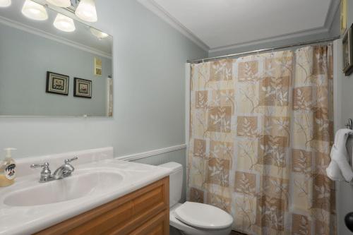 a bathroom with a sink and a toilet and a shower at Stroll to Slopes, Village Area, Ski in-out MtLodge 345 in Snowshoe