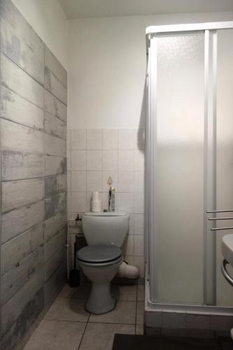 une salle de bain avec toilettes et douche dans l'établissement Résidence Choucas - APPARTEMENT ALPE D'HUEZ QUARTIER CENTRE STATION MAE-2401, à Huez