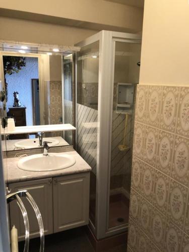 une salle de bain avec un lavabo et une douche dans l'établissement Résidence Gemeaux - APPARTEMENT ALPE D'HUEZ AVENUE DU RIF NEL MAE-2461, à Huez