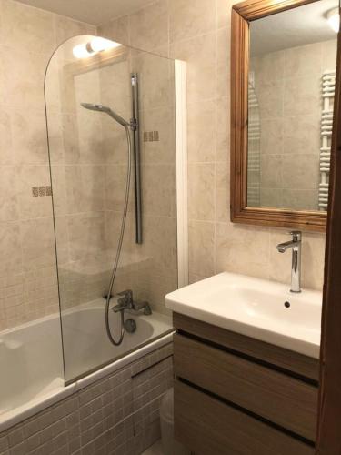une salle de bain avec une douche, un lavabo et une baignoire dans l'établissement Chalet Alpina - APPARTEMENT ALPE D'HUEZ HAUT DE STATION MAE-2661, à Huez