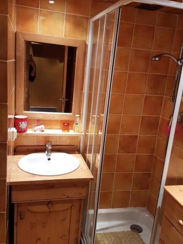 une salle de bain avec un lavabo et une douche dans l'établissement Résidence Dome - APPARTEMENT ALPE D'HUEZ HAUT DE STATION/COGNET MAE-3101, à Huez