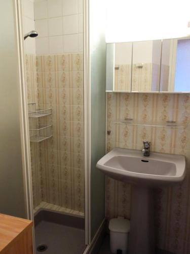une salle de bain avec un lavabo et une douche dans l'établissement Résidence Gemeaux - APPARTEMENT ALPE D'HUEZ AVENUE DU RIF NEL MAE-3591, à Huez