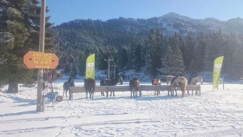 a group of horses standing behind a fence in the snow at ESTELA House in Ágios Vissaríon