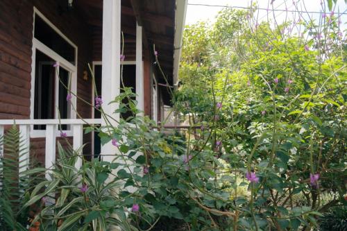 a porch of a house with flowers in front of it at Cabañas Barú Dota in Santa María
