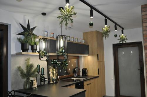 Kuchyň nebo kuchyňský kout v ubytování APARTAMENT JANETTA domek nad jeziorem