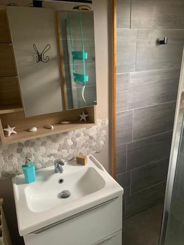 une salle de bain avec un lavabo et une douche dans l'établissement Joli appartement de plain-pied, à Plaisance-du-Touch