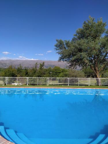 a large swimming pool with a tree in the background at Hotel del Alto in Nono