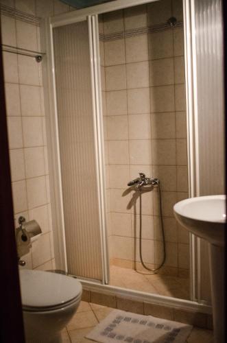 a bathroom with a shower with a toilet and a sink at Sarris House in Xirokámbion