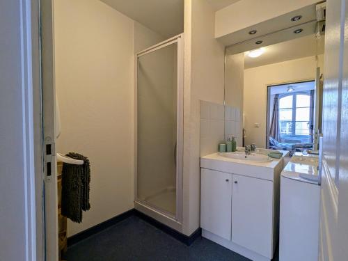 une salle de bain avec une douche, un lavabo et un miroir dans l'établissement Charmant 2 pièces au pied de la cathédrale, lumineux et tout inclus, idéalement situé en centre-ville. - FR-1-582-379, au Puy-en-Velay