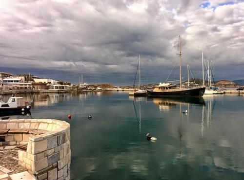 a boat in a harbor with ducks in the water at Villa Danai in Agia Anna Naxos