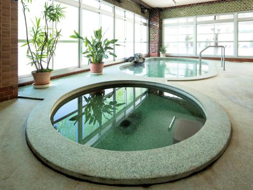 a large pool of water in a room with plants at Yunoyado Mochizuki in Myoko