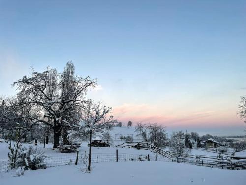 a field covered in snow with a fence and trees at Cloud Garden Maisonette in Spiez