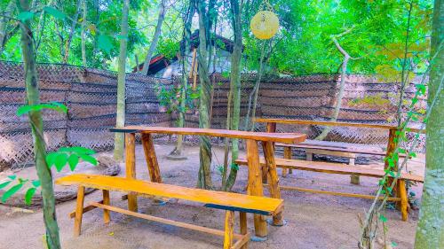 Ein Garten an der Unterkunft Jungle Host Hostel And Tree House