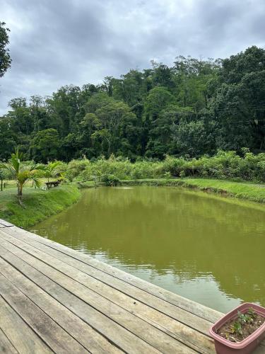 a wooden boardwalk with a pond of water at Chácara da Tuia in Estancia do Castello