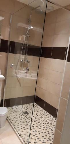 une salle de bain avec douche et toilettes dans l'établissement Le platane aux esperifes, à Vidauban
