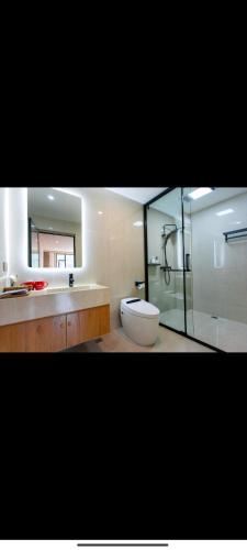 甘孜Kangding Zhuji Villa Designer View B&B的带淋浴、马桶和水槽的浴室