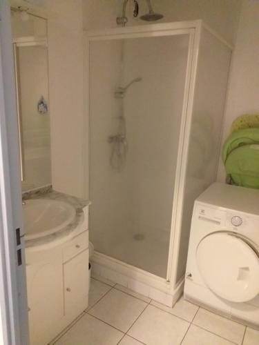 une salle de bain avec une douche, des toilettes et un lavabo dans l'établissement Au jardin du golfe, au Plan-de-la-Tour