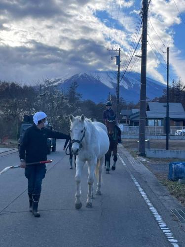 Animales en la villa o alrededores