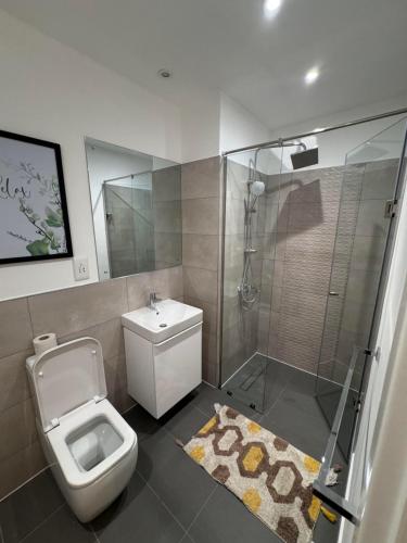 a bathroom with a toilet and a shower at Gem of Loxwood in Accra