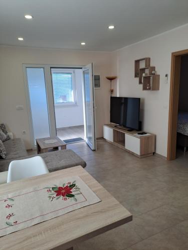 Una televisión o centro de entretenimiento en Apartma Anci