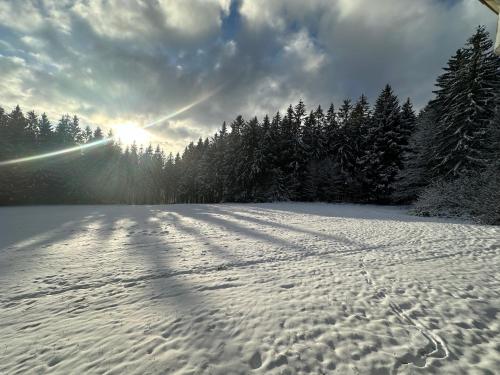 a snow covered field with trees and the sun in the sky at Waldhotel Zöbischhaus in Bad Reiboldsgrün
