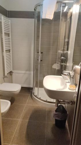 a bathroom with a shower and a sink and a toilet at SANBARTO LA CASA DEL BORGO in Cassano Irpino