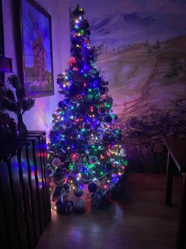 a christmas tree with lights in a room at Georgiy in Oryavchyk