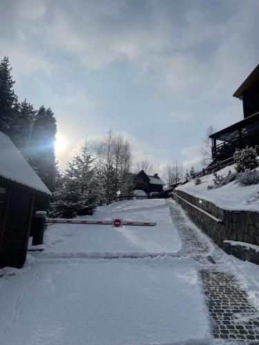 a street covered in snow with the sun in the background at Georgiy in Oryavchyk