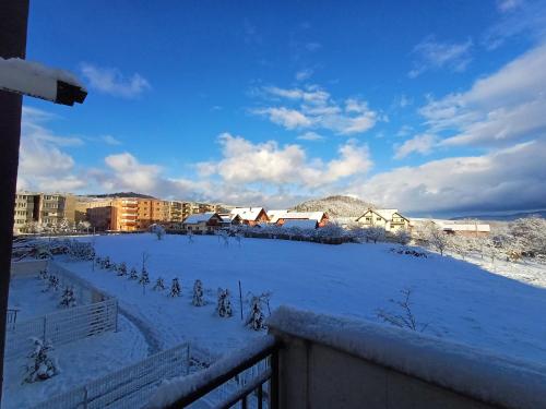 a snow covered field with buildings in the background at Apartament Ramonte in Zărneşti