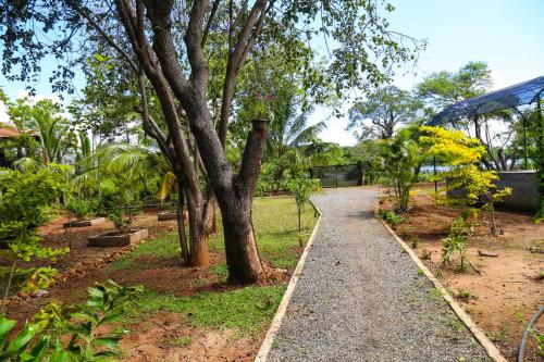 a path in a garden next to a tree at Go Yala Farm Villa in Tissamaharama