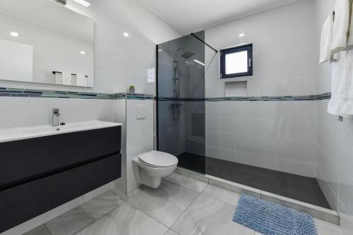 a bathroom with a toilet and a shower and a sink at New Villa Luel 5 minutes from Palm Beach in Noord
