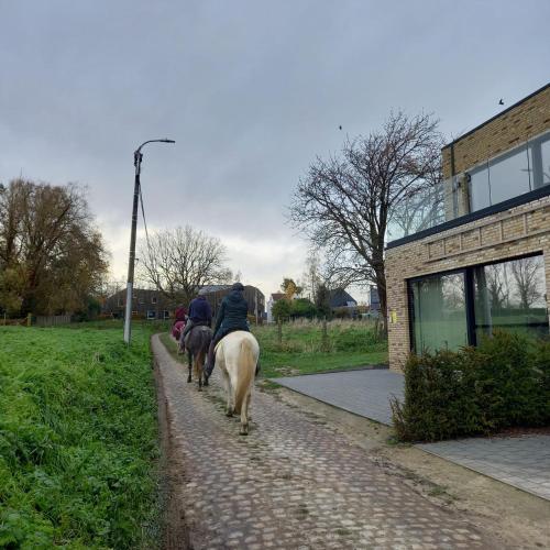 a group of people riding horses down a path at De Molenlos in Zottegem