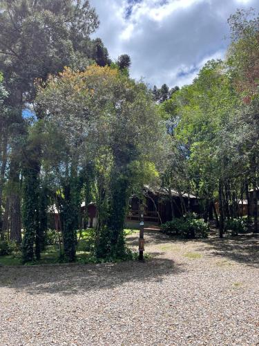 a park with trees and a parking meter at Hotel Cabanas Glamour in Gramado