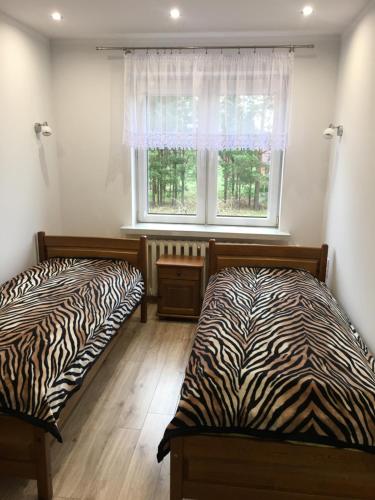 two beds in a room with a window at Leśne Zacisze in Augustów
