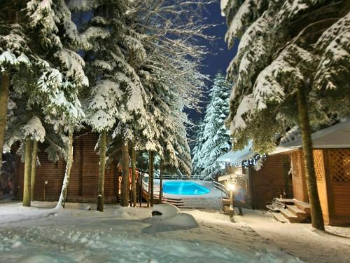 a swimming pool covered in snow next to trees at Gostynniy Dvir in Forest Коттеджи in Migovo