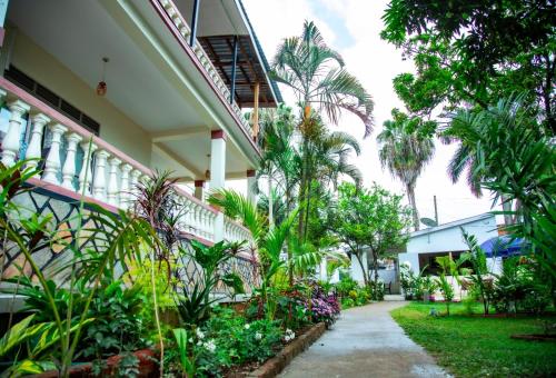 a walkway in front of a building with plants at Lakeshore Bed and Breakfast in Entebbe