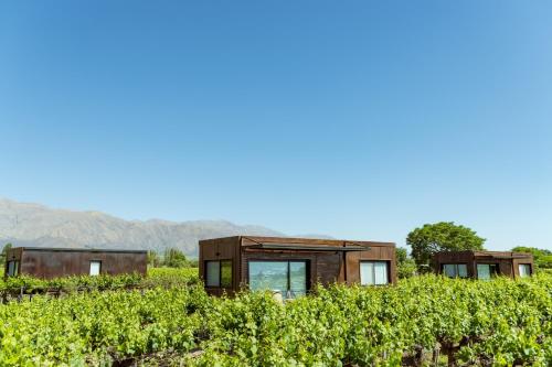 a house in a vineyard with mountains in the background at El Porvenir Wine Lodge in Cafayate