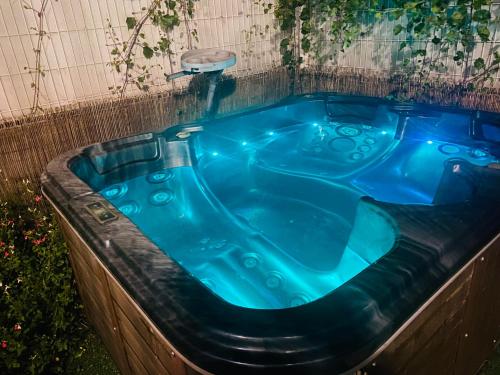 d'un bain à remous avec de l'eau bleue. dans l'établissement Villa avec jacuzzi en petite camargue, à Saint-Laurent-dʼAigouze