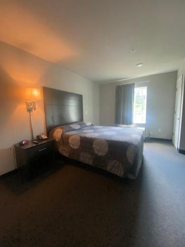 a bedroom with a large bed and a window at Savannah Suites Atlanta Airport in Atlanta