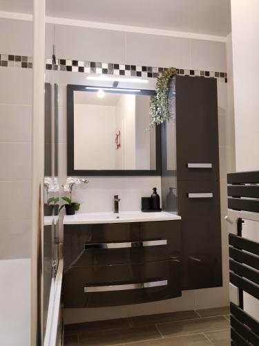 une salle de bain avec un lavabo et un miroir dans l'établissement CasaSimba - Appartement 8 min de Disneyland !, à Bussy-Saint-Georges