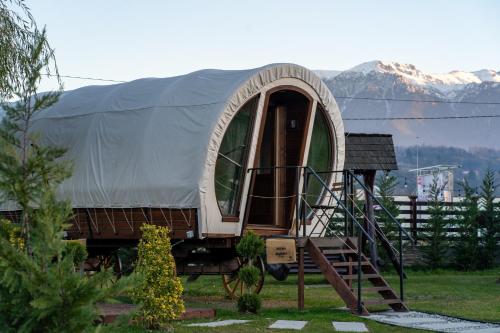 a dome tent on display in a yard at Glamp In Style Pods Resort in Bran